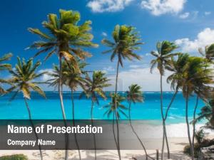 Exotic Beaches