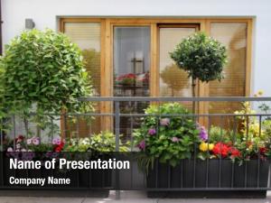 House of Flowers and Herbs PowerPoint Template