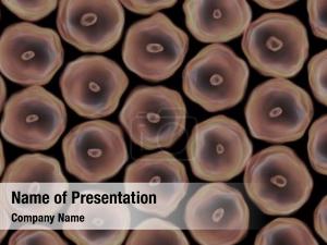 Mitosis abstract cells multiplication cells PowerPoint Template