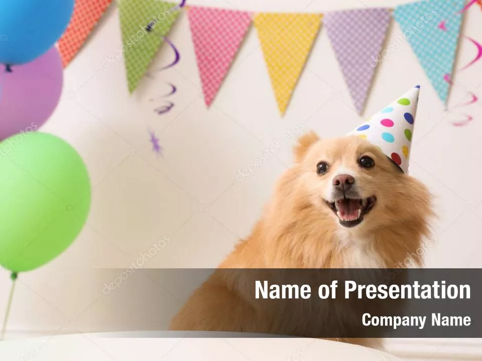 Happy Birthday Puppy