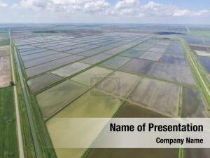 Rice Paddies PowerPoint Template