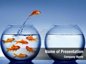 Aquarium Fish is Jumping PowerPoint Template