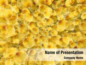 Yellow Cells