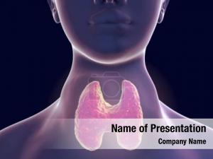 Thyroid PowerPoint Template