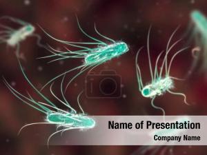 Flagella PowerPoint Template