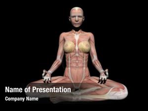 Figure woman anatomy position render