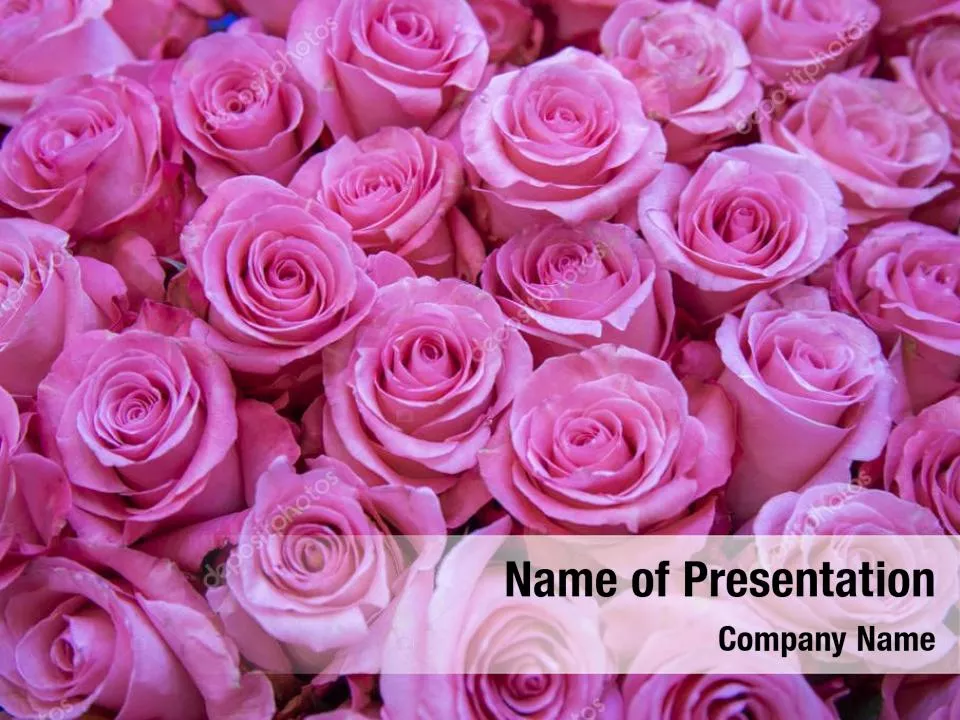 Open Flowers Pattern