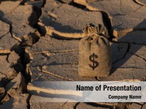 Dollar In Desert