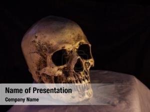 Human Skull