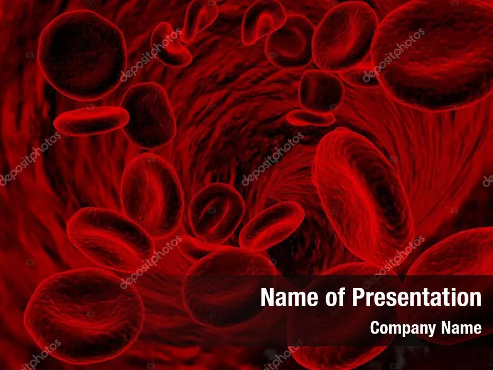 Blood Vascular System