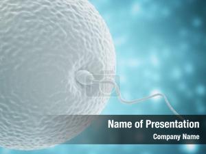 Conception PowerPoint Template
