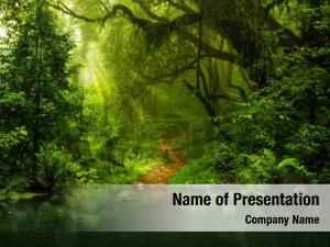 Jungle PowerPoint Template