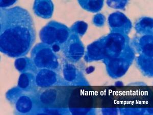 Abstract Blue Cells
