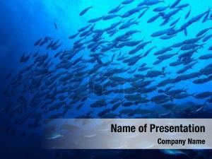 Fishing Life Underwater PowerPoint Template