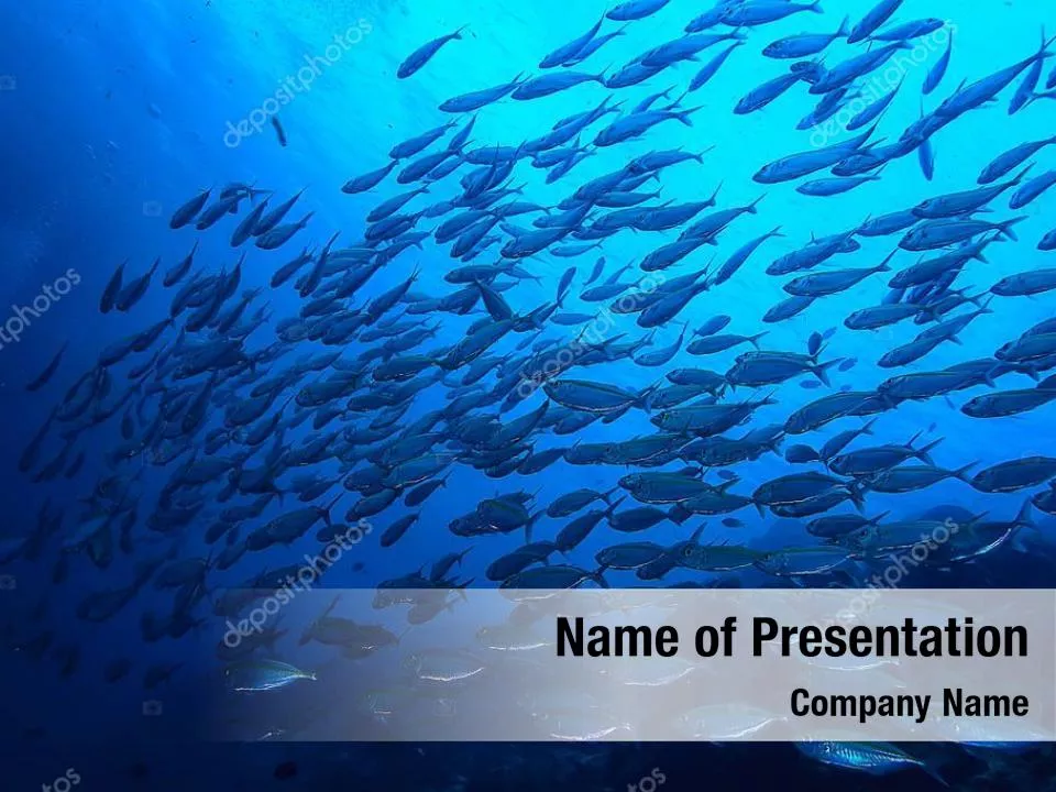 Fishing Life Underwater