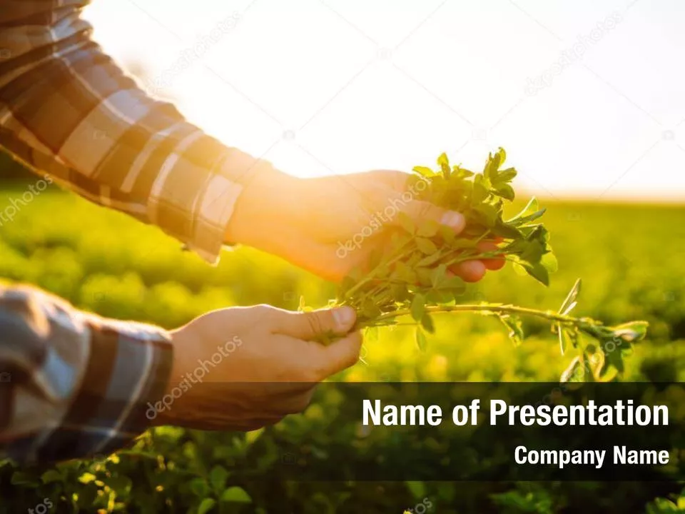 Agronomy And Agriculture