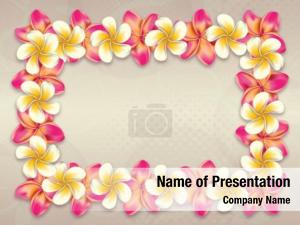 Flowers plumeria, frangipani frame abstract
