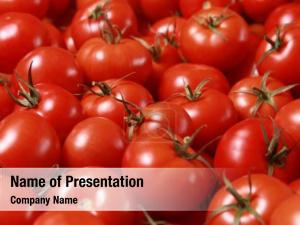 Tomatoes