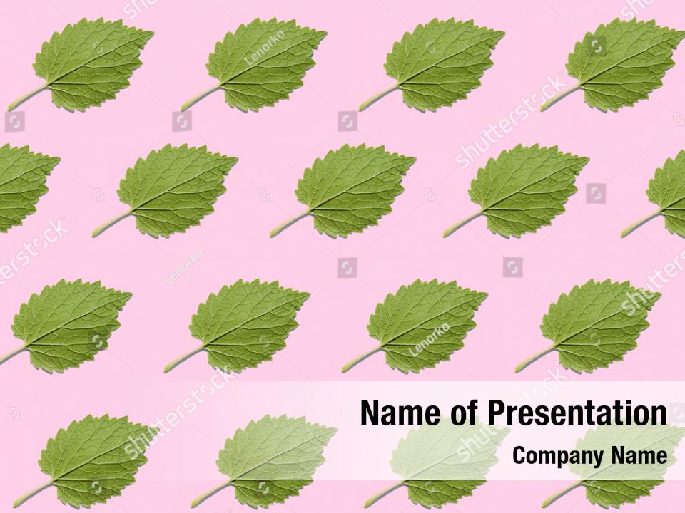 Pink And Green Powerpoint Template