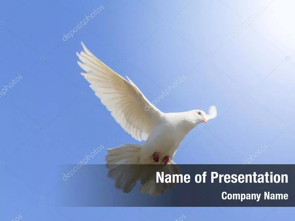 Peace Dove