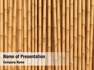 Bamboo Theme PowerPoint Template