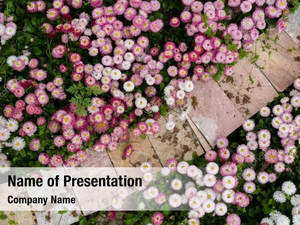 Blooming Earth Concept