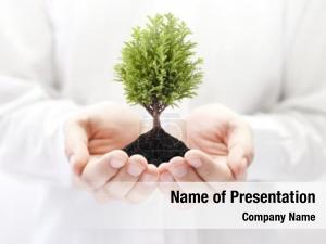 Hands Holding a Bonsai Plant PowerPoint Template