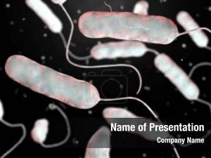 Legionella Pneumophila PowerPoint Template
