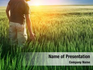 In the Field