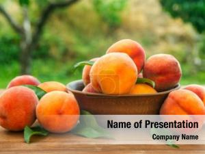 Peach PowerPoint Template