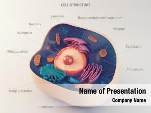 Animal Cell Cut Away PowerPoint Template