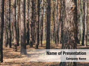 Woods PowerPoint Template