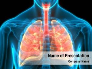 Human Lungs PowerPoint Template
