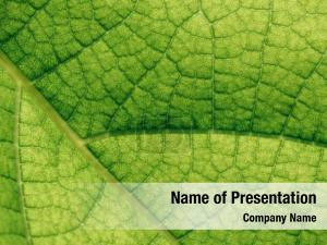 Botany PowerPoint Template