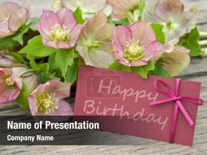 Birthday pink flowers card  PowerPoint Template