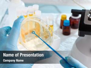 Petri Dish Test PowerPoint Template