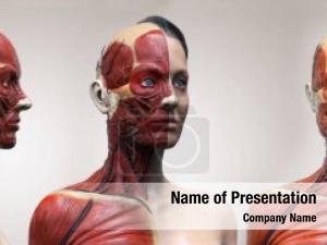 Facial Muscles PowerPoint Template
