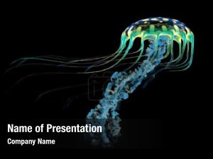 Jellyfish PowerPoint Template