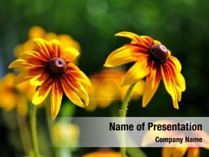 Flora PowerPoint Template