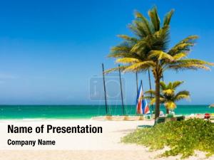 Varadero tropical beach cuba coconut