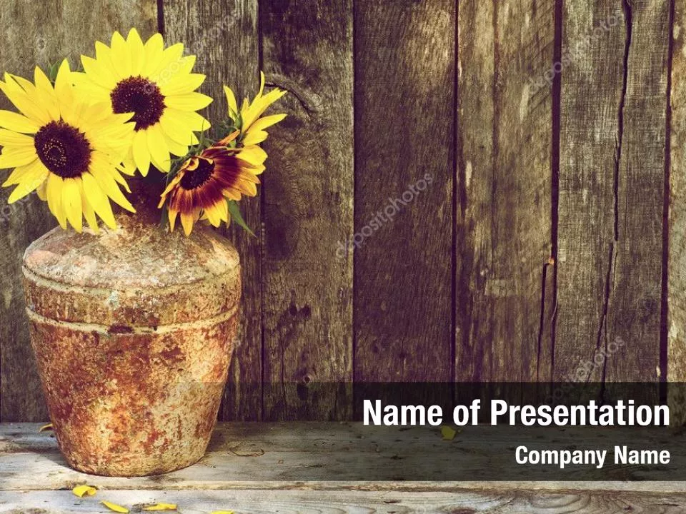 Sunflower Still Life