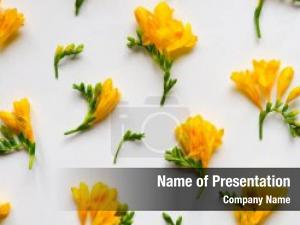 Yellow Flowers Pattern PowerPoint Template