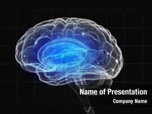 Human Mind