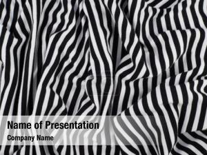 Zebra Abstract Surface PowerPoint Template