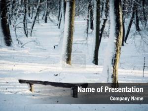 Winter Theme