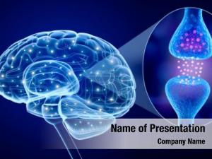 Brain Receptor PowerPoint Template