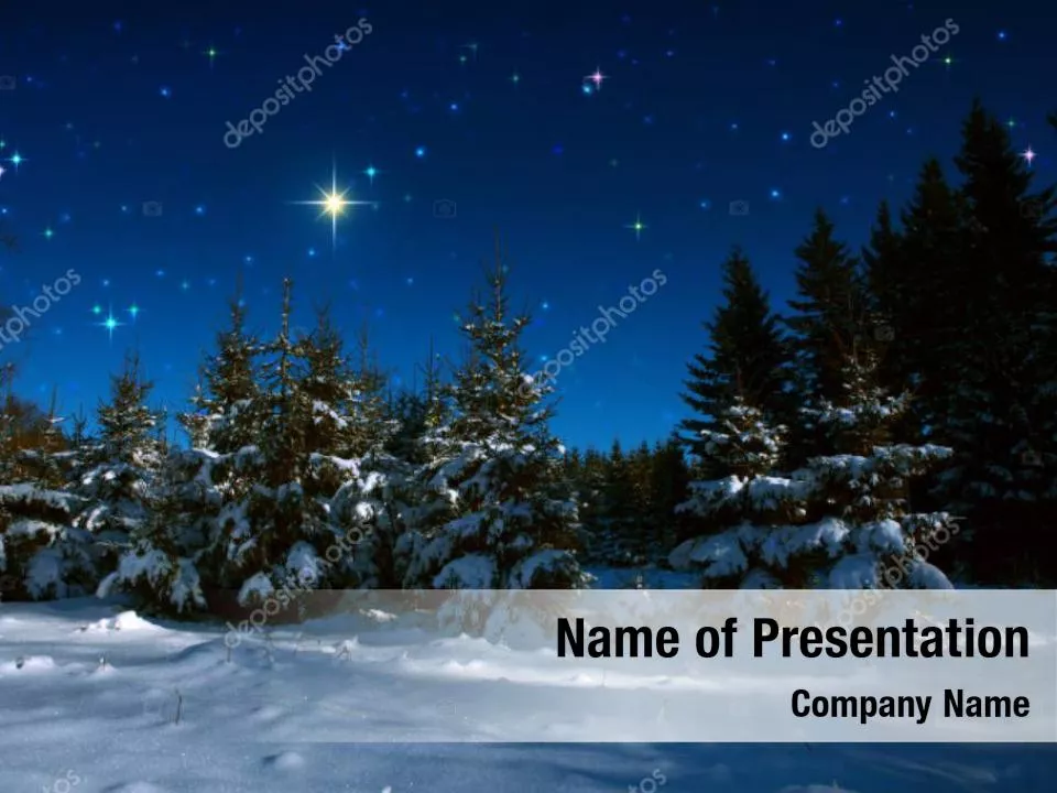 Christmas Tree On The Blue Snow