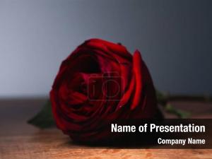 Red Rose PowerPoint Template