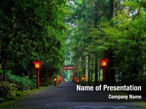 Lighted Path PowerPoint Template