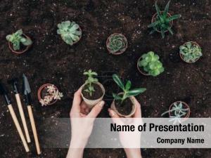 Gardening PowerPoint Template